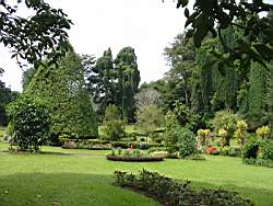 Peradeniya Garden